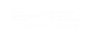 FLUIDEFI supported by Canada Trade Commissioner defi accounting tax risk auditing